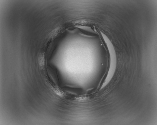 X0000062140708200512301527