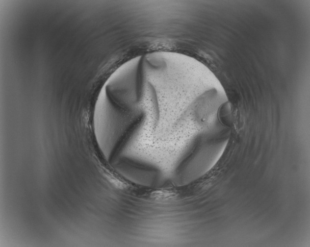 X0000062140714200512301527