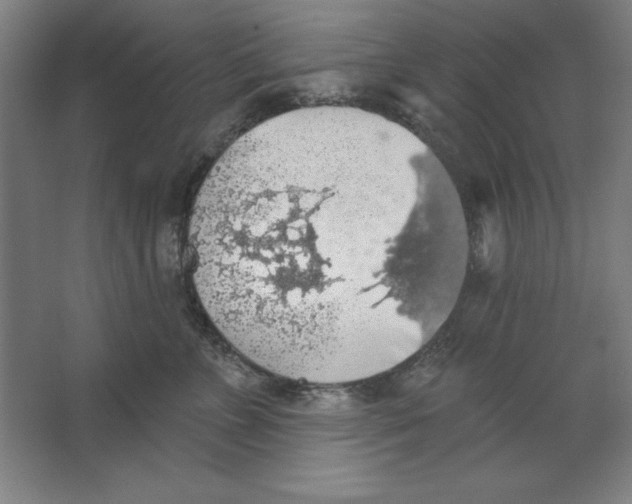 X0000062140715200512301527