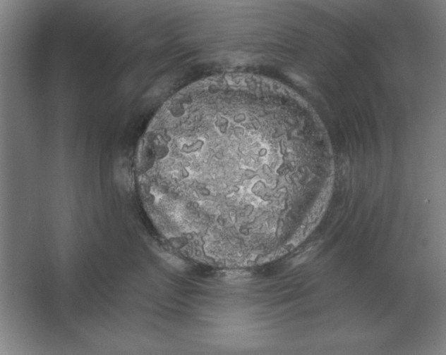 X0000062140719200512301527