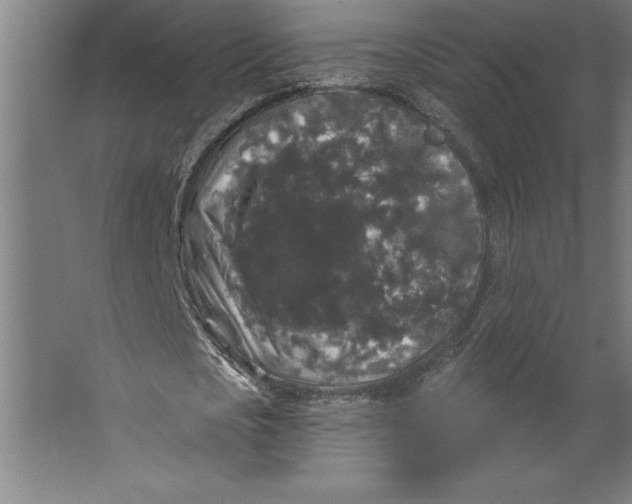 X0000062140721200512301526