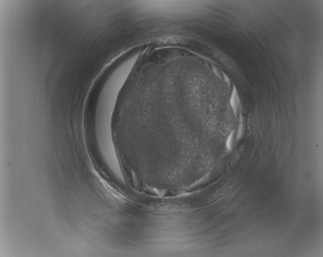 X0000062140722200512301526