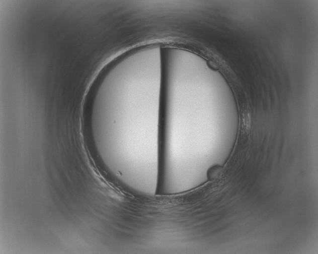 X0000062140724200512301526