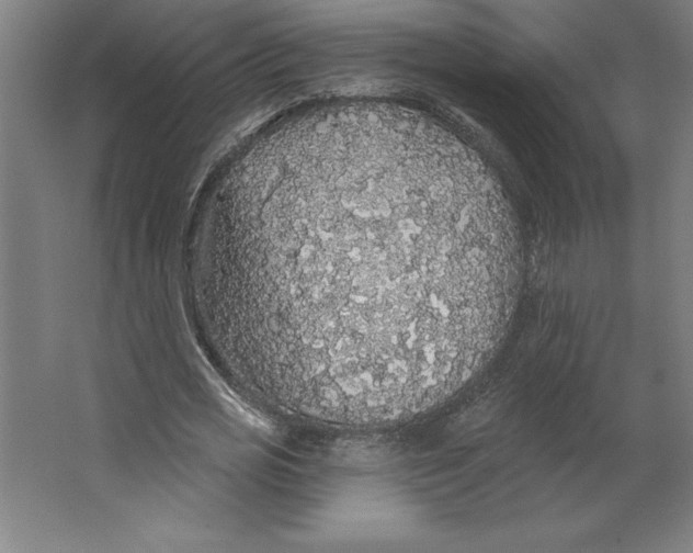 X0000062140725200512301526