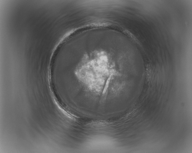 X0000062140726200512301526