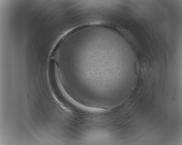 X0000062140728200512301526