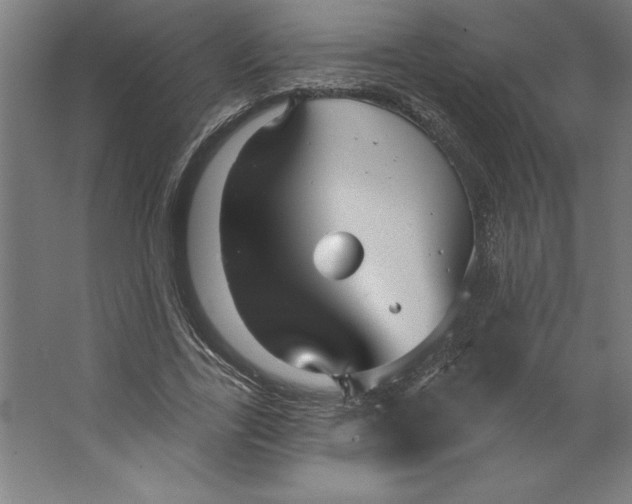 X0000062140731200512301526