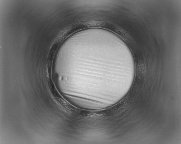 X0000062140734200512301527