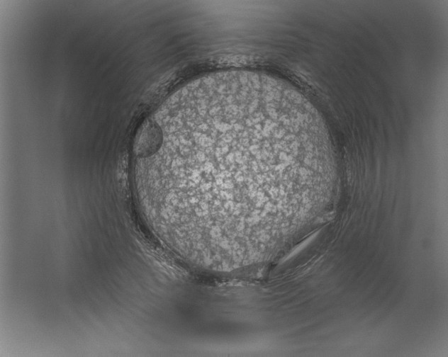 X0000062140737200512301527