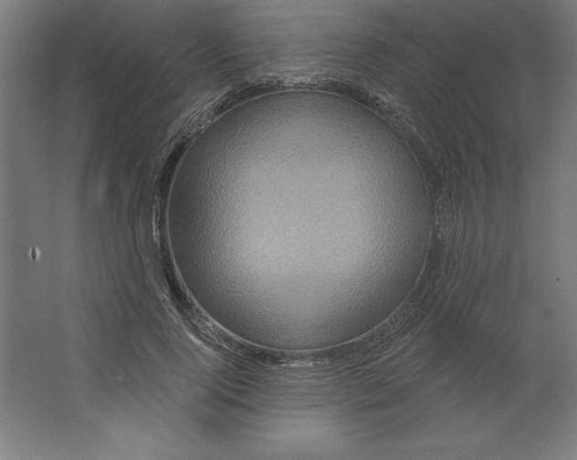 X0000062140740200512301527