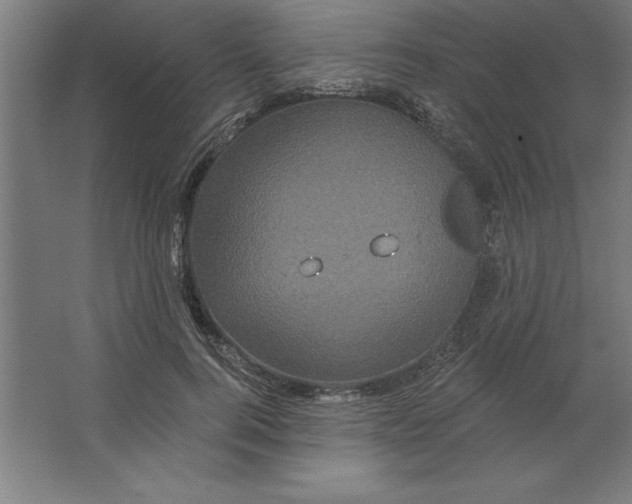 X0000062140744200512301527