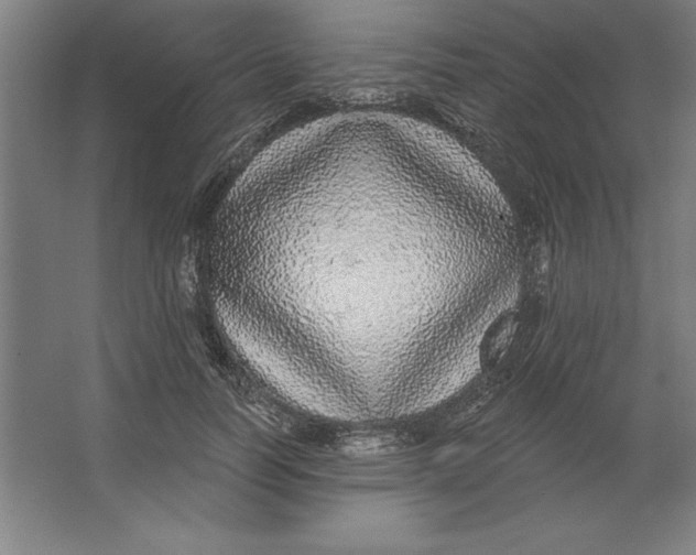 X0000062140746200512301527