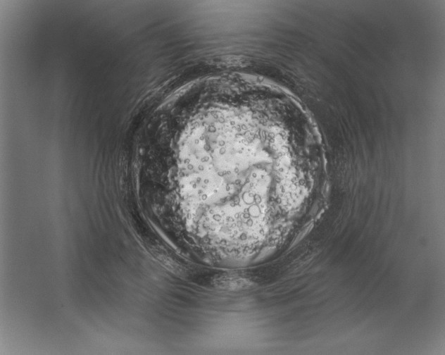 X0000062140747200512301527