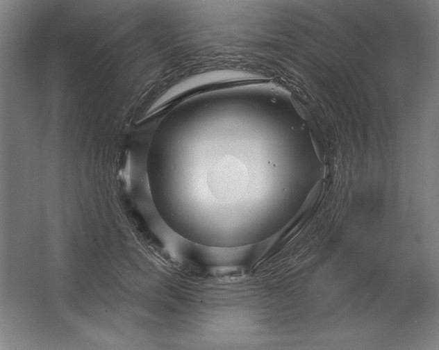 X0000062140750200512301527