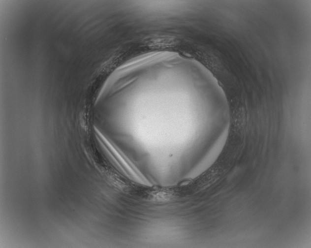 X0000062140755200512301527