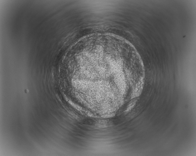 X0000062140757200512301527