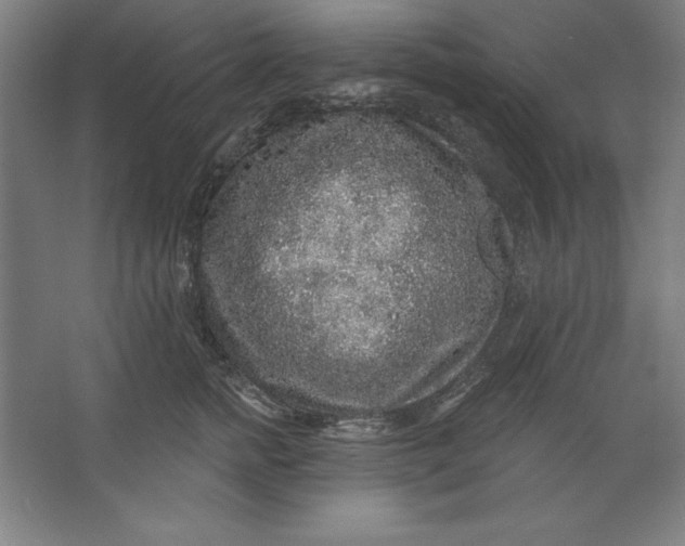 X0000062140758200512301527