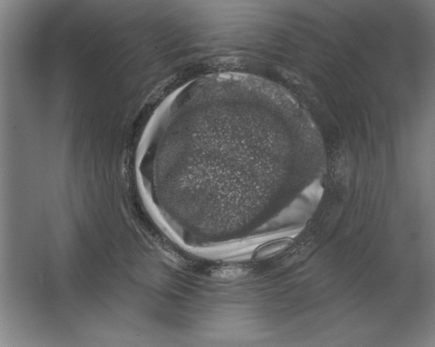 X0000062140759200512301527