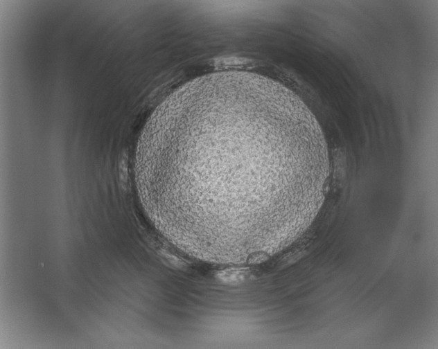 X0000062140761200512301527