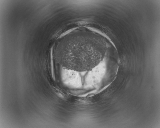 X0000062140763200512301527