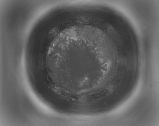 X0000062140765200512301527