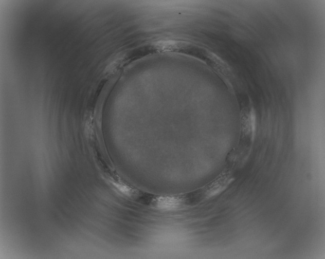 X0000062140766200512301527