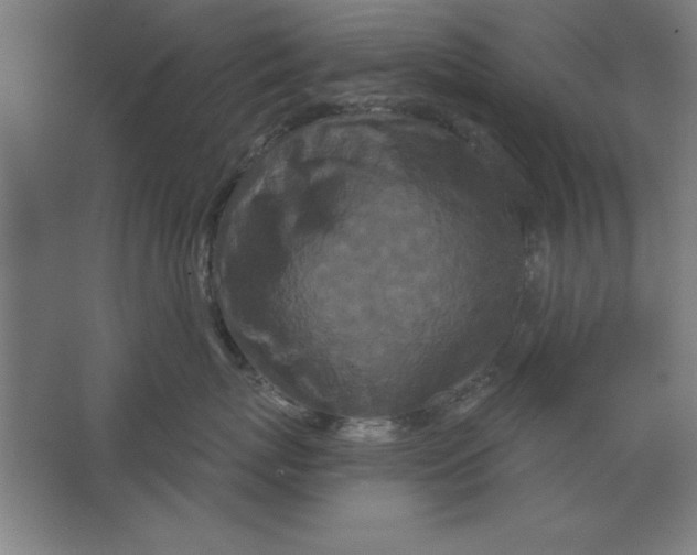 X0000062140767200512301527