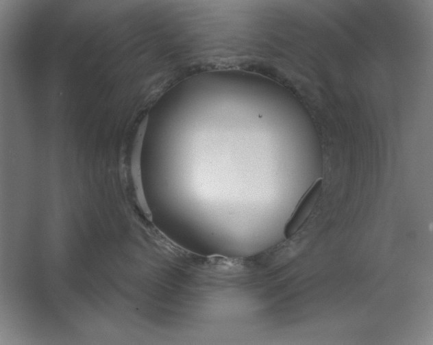 X0000062140768200512301527