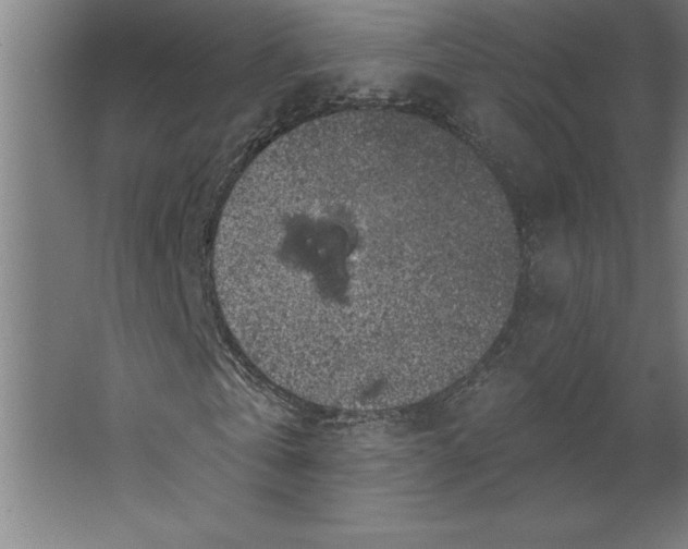 X0000062140769200512301526