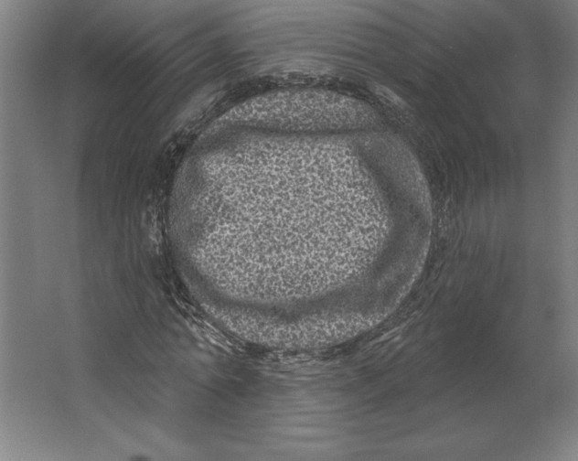 X0000062140774200512301526