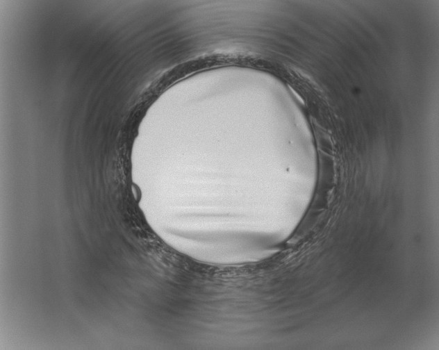 X0000062140776200512301526