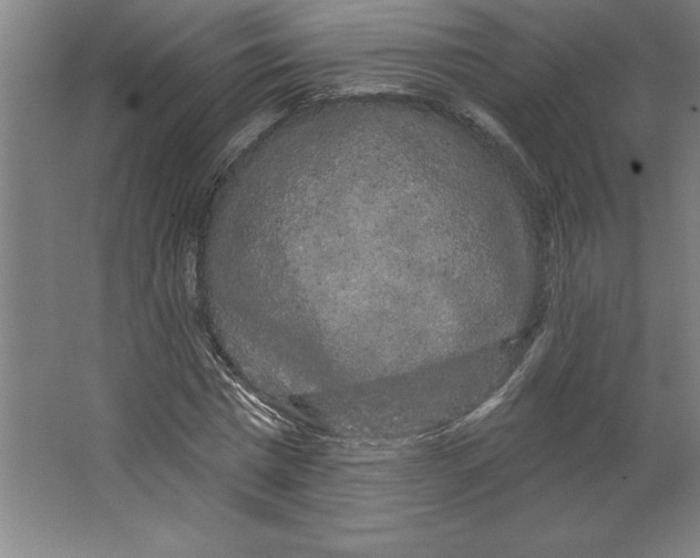 X0000062140777200512301526