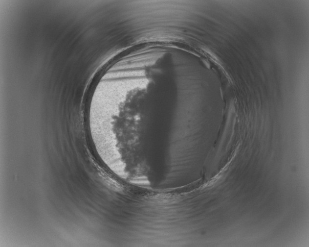 X0000062140779200512301526