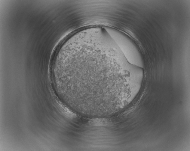 X0000062140780200512301526