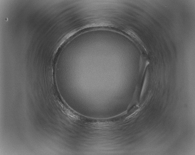 X0000062140781200512301526