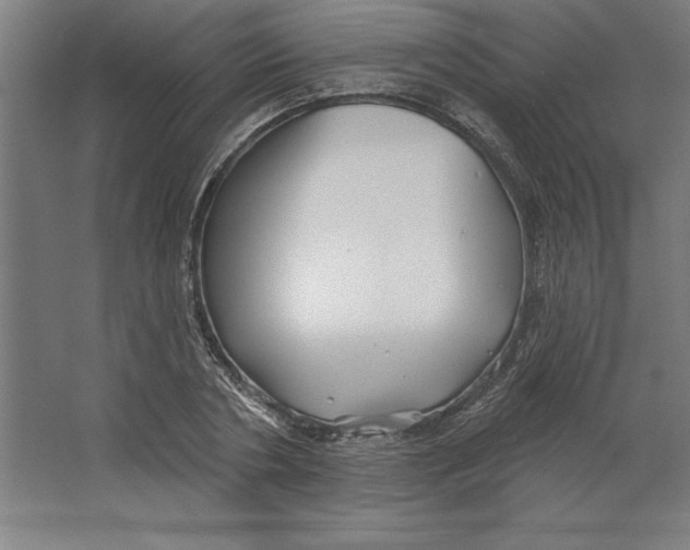 X0000062140786200512301526