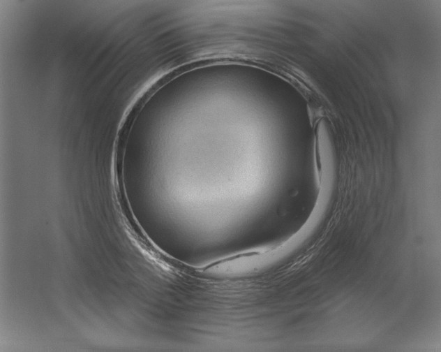 X0000062140788200512301526