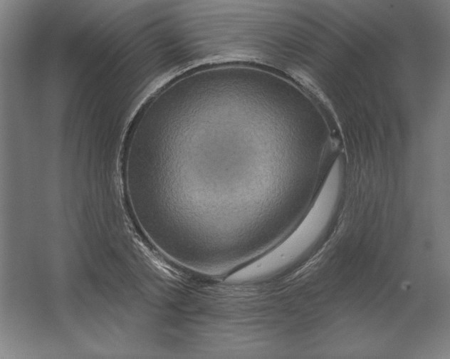 X0000062140789200512301526