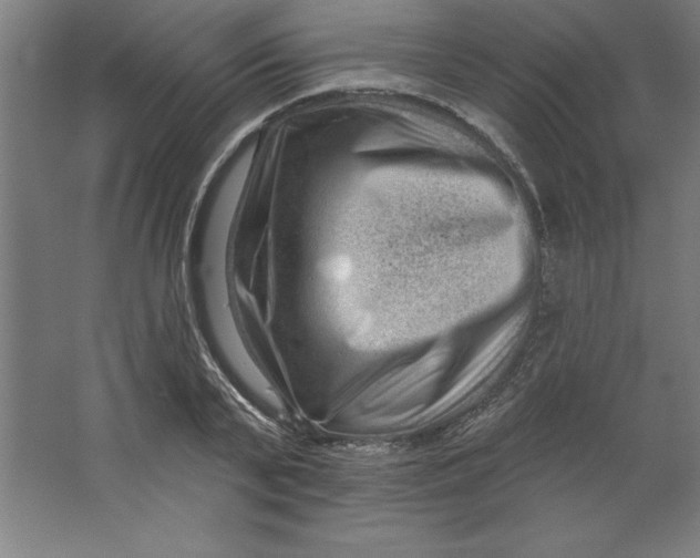 X0000062140791200512301526