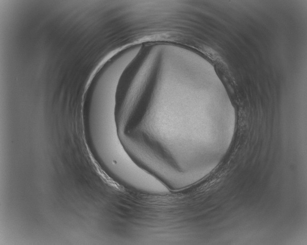 X0000062140792200512301526