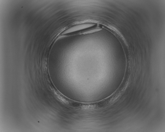 X0000062140793200512301526