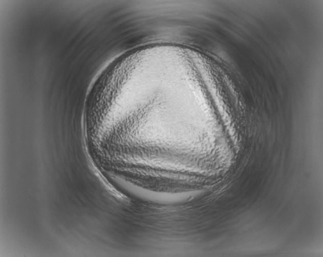 X0000062140796200512301526