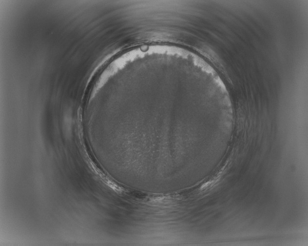 X0000062140798200512301526