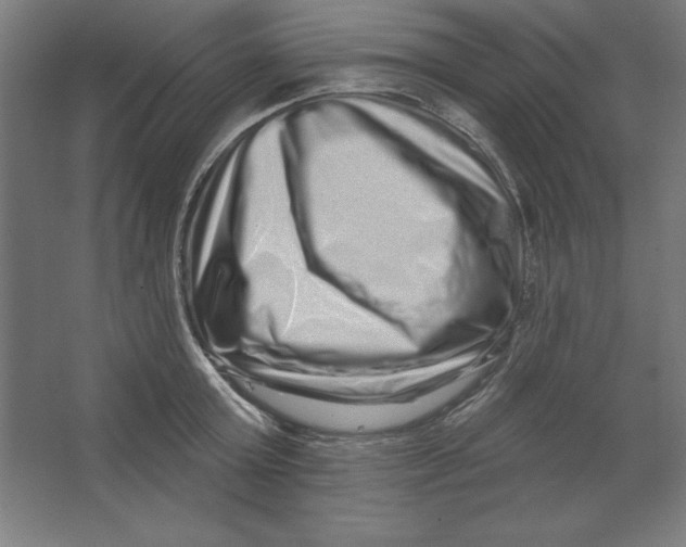 X0000062140803200512301526