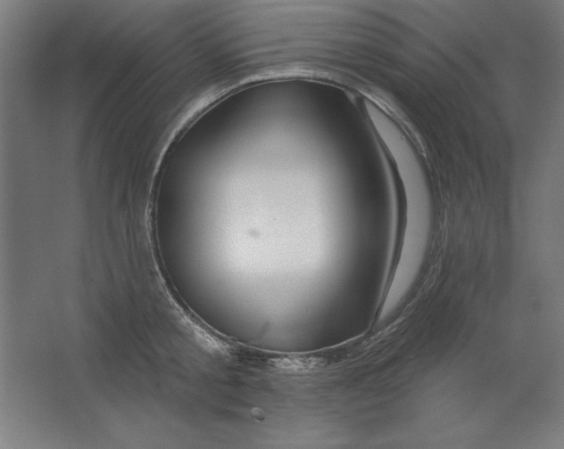 X0000062140805200512301526