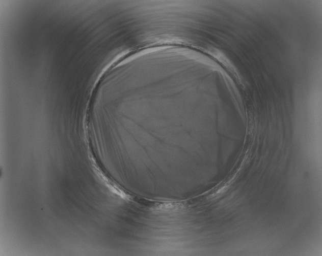 X0000062140806200512301526