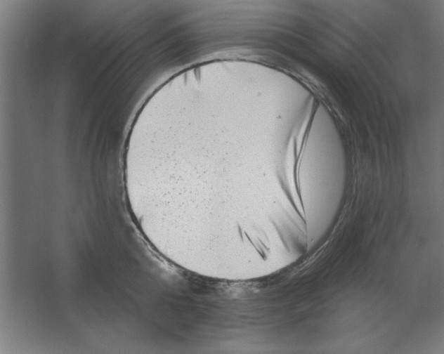 X0000062140808200512301526