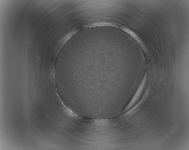 X0000062140809200512301526