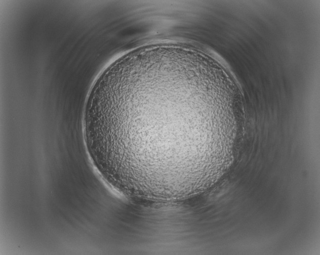 X0000062140811200512301526