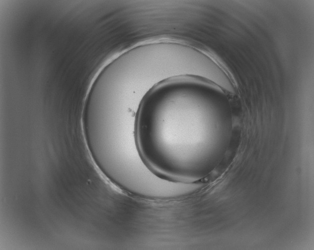 X0000062140813200512301526